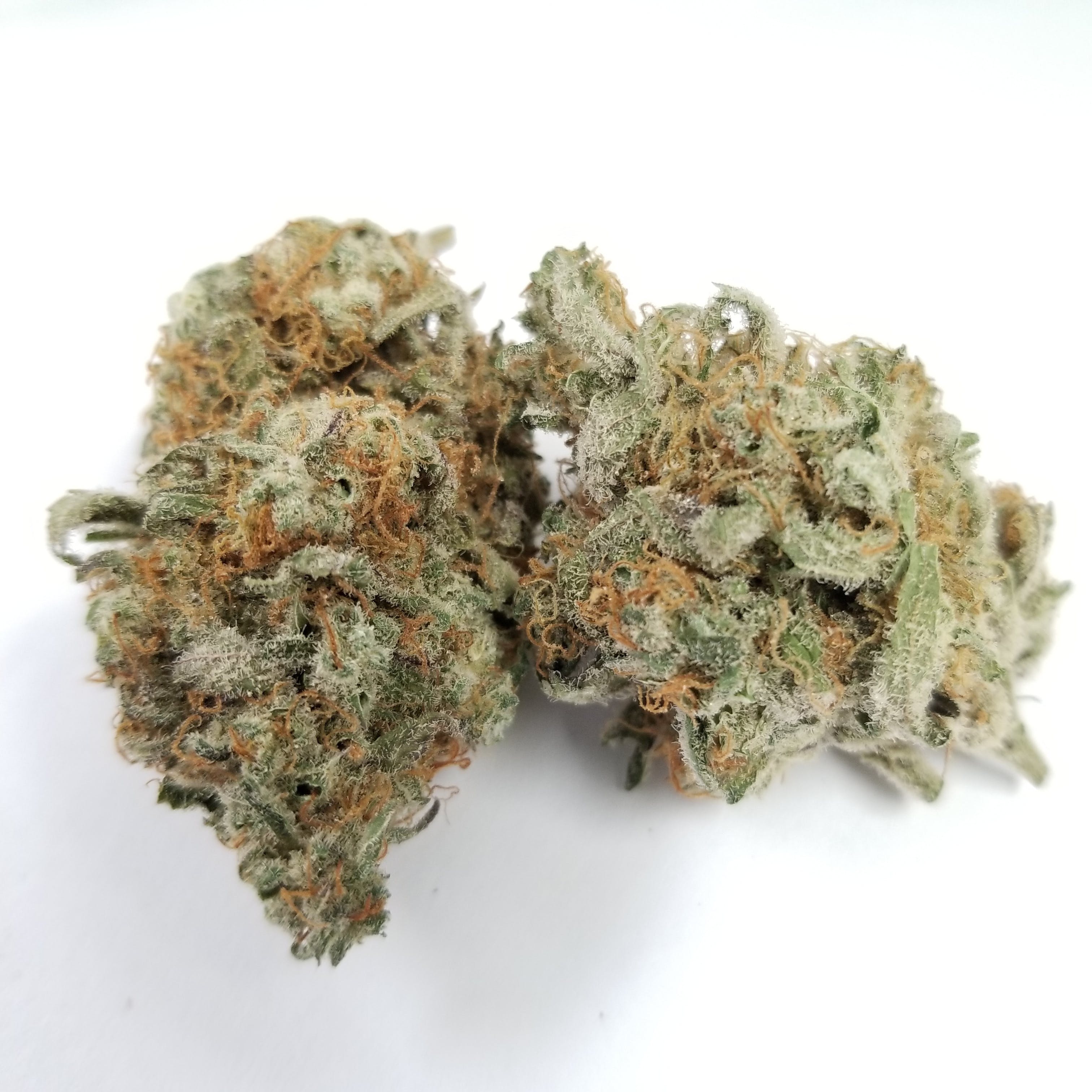 marijuana-dispensaries-golden-state-in-temecula-2410-special-kimbo-kush
