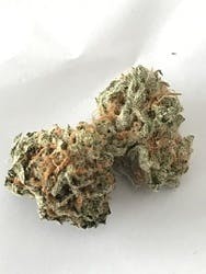 $100 for 14g or $50 for 5G 9lb Hammer
