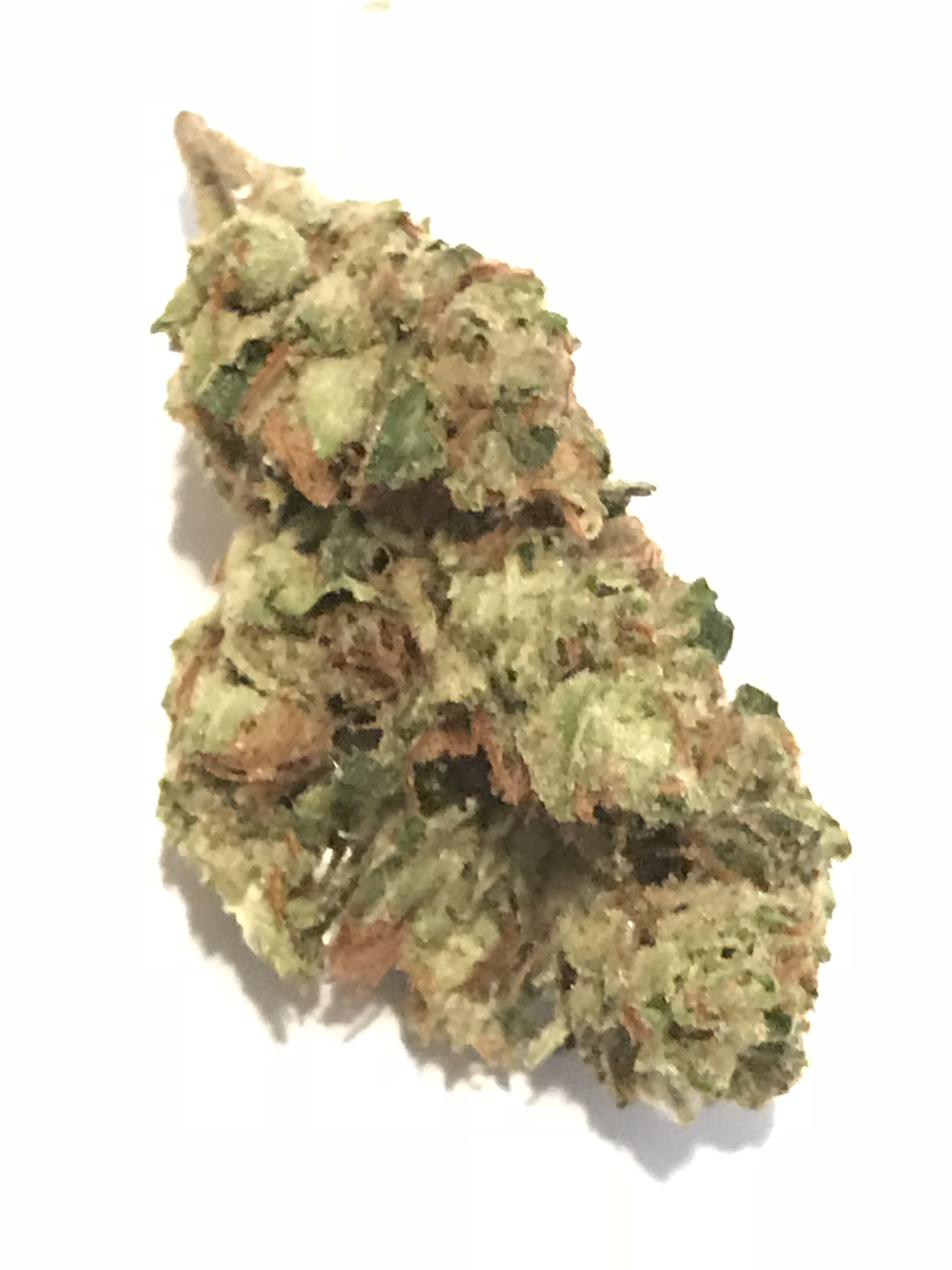 sativa-24100-for-14g-tangie-top-shelf-special