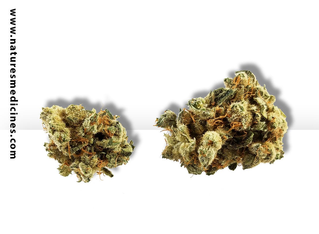 marijuana-dispensaries-2439-w-mcdowell-rd-phoenix-2412-blueberry-cookies