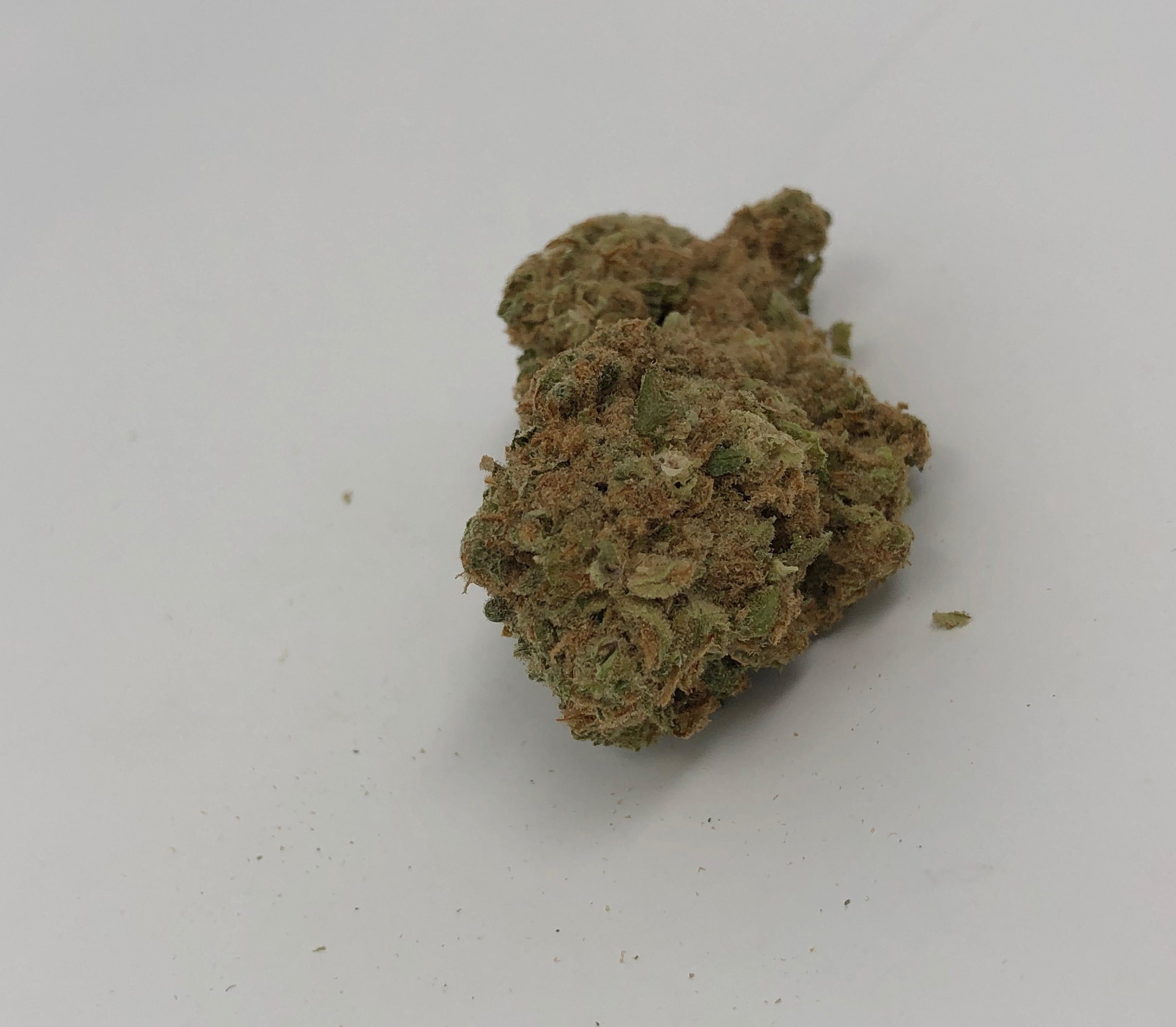 marijuana-dispensaries-10169-baltimore-national-pike-ellicott-city-2412-critical-sensi-star