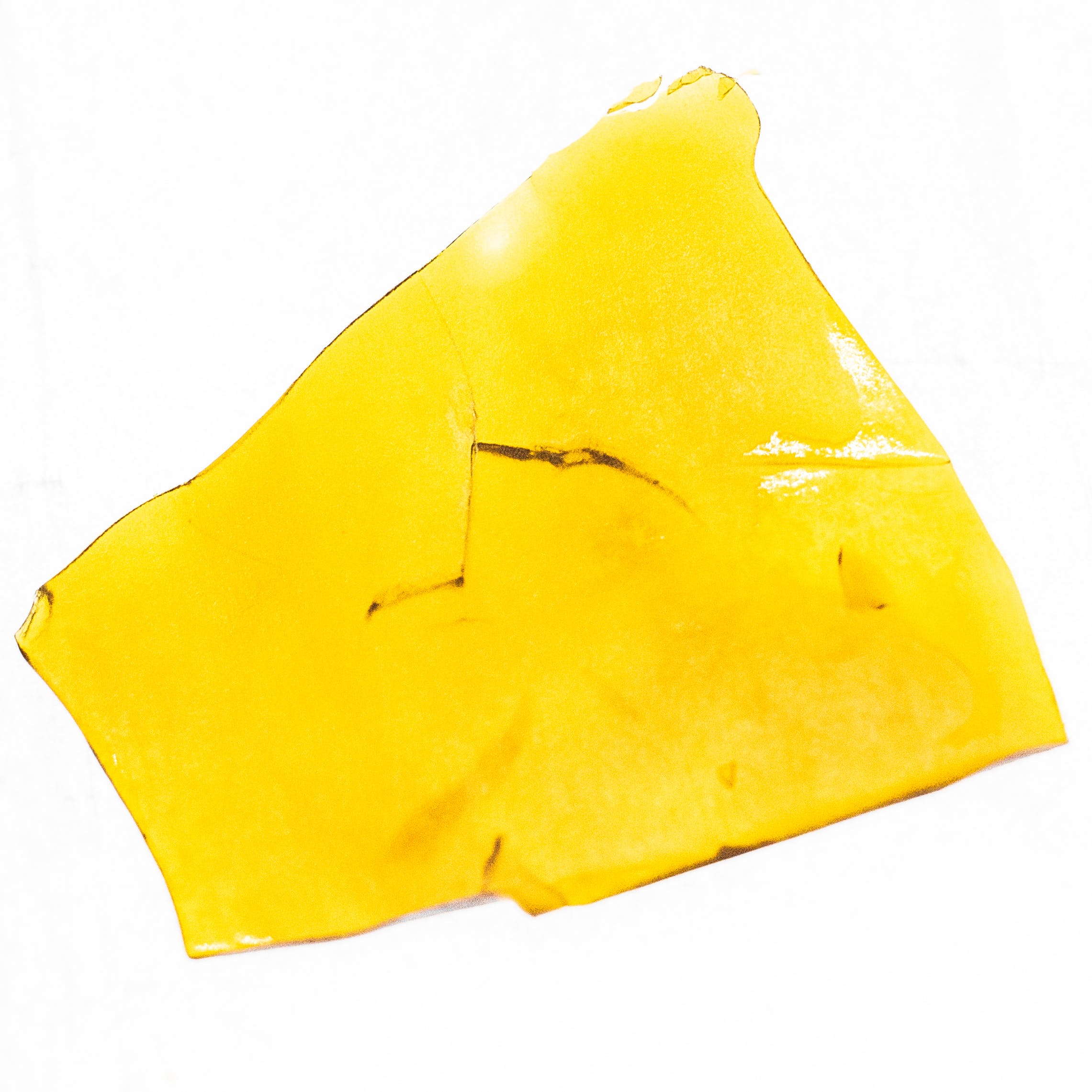 concentrate-2415-hrvst-maui-waui-shatter-s-65-72-25