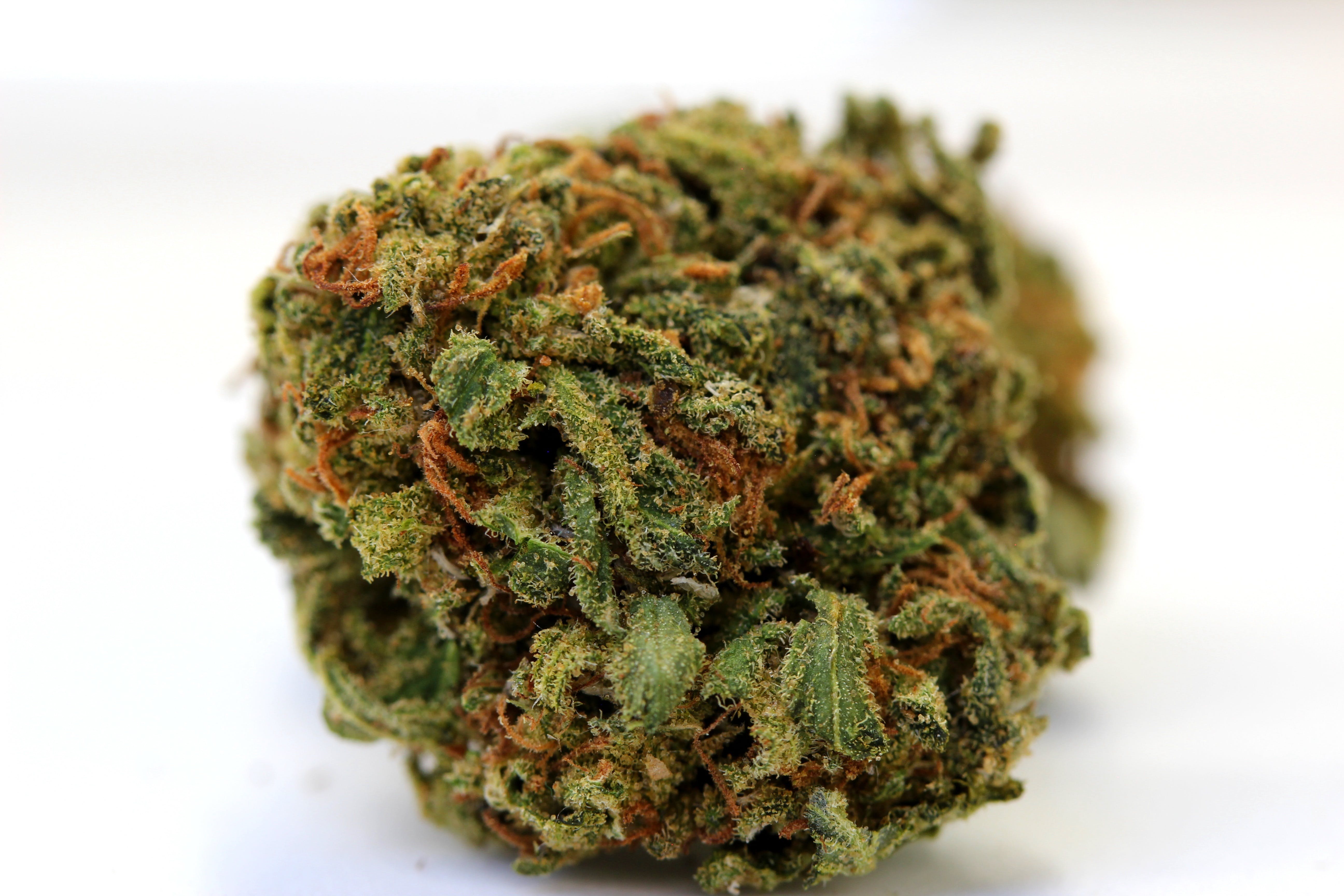 marijuana-dispensaries-2639-e-willamette-ave-colorado-springs-2450-2460-oz-strains-maui