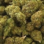 indica-2450-oz-special-buy-1-get-2410-off-the-second-21