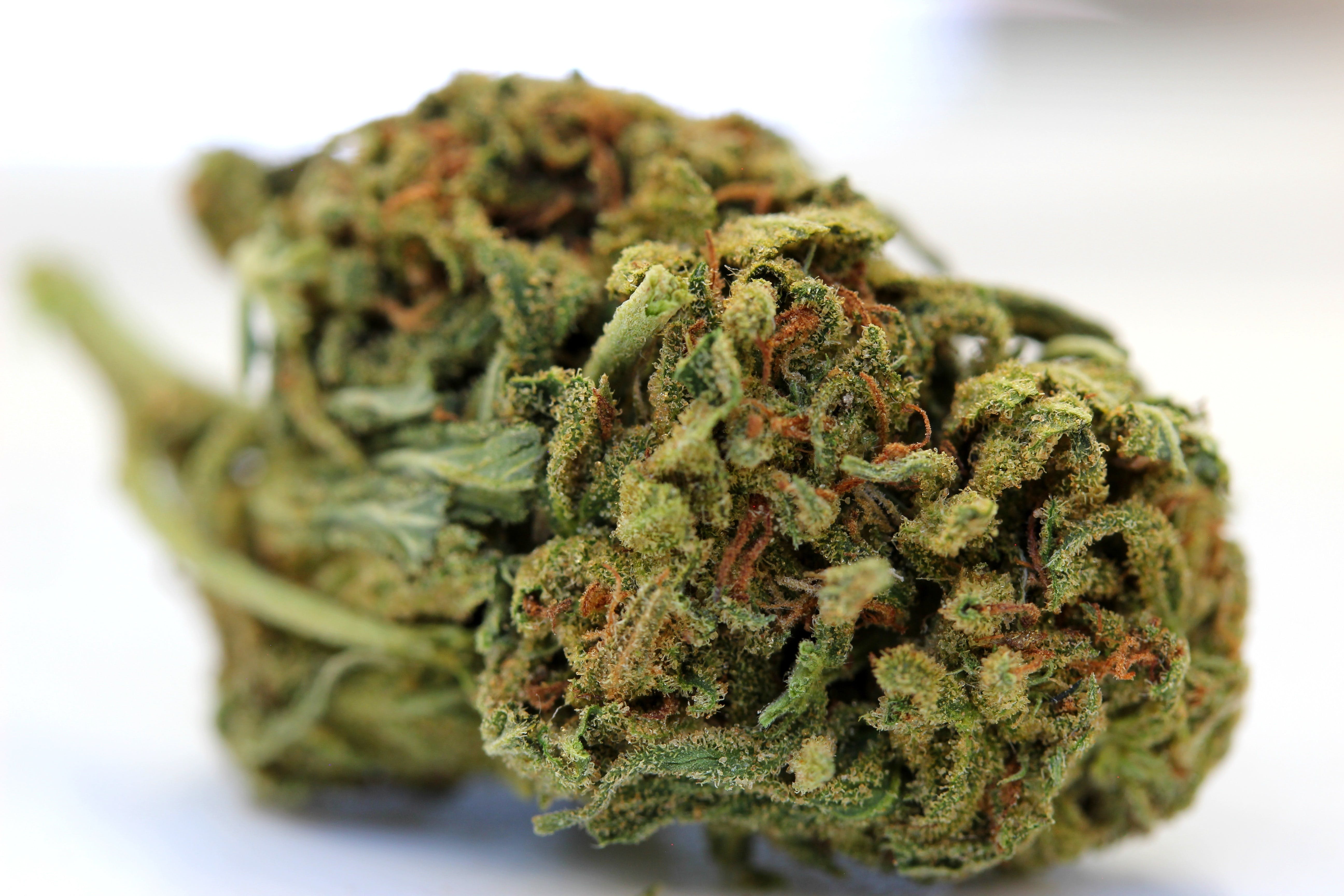 marijuana-dispensaries-815-wooten-rd-colorado-springs-2450-oz-strain-juicy-fruit