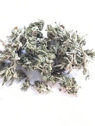 indica-2460-for-28g-low-shelf-house-special-21