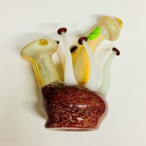 $60 Small Mushroom Bong