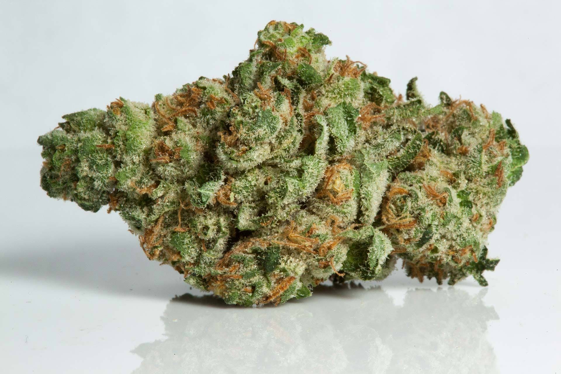 marijuana-dispensaries-14006-ventura-blvd-sherman-oaks-2495-14g-all-top-shelf-strains-21-21-21