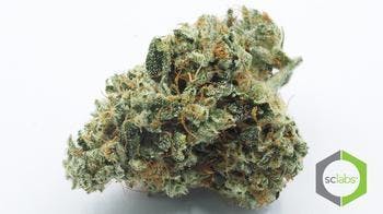 marijuana-dispensaries-1026-w-pacific-coast-wilmington-2b-2bmidshelf-2b-2b-love-potion-239-5-for-30