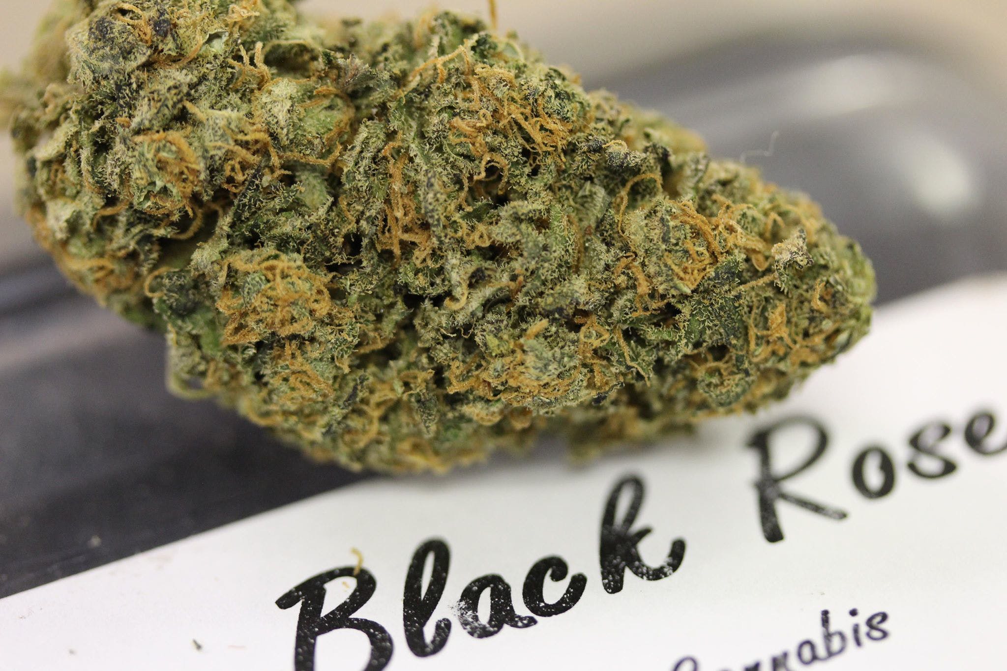 marijuana-dispensaries-815-wooten-rd-colorado-springs-7bartisan-7d-sugar-black-rose