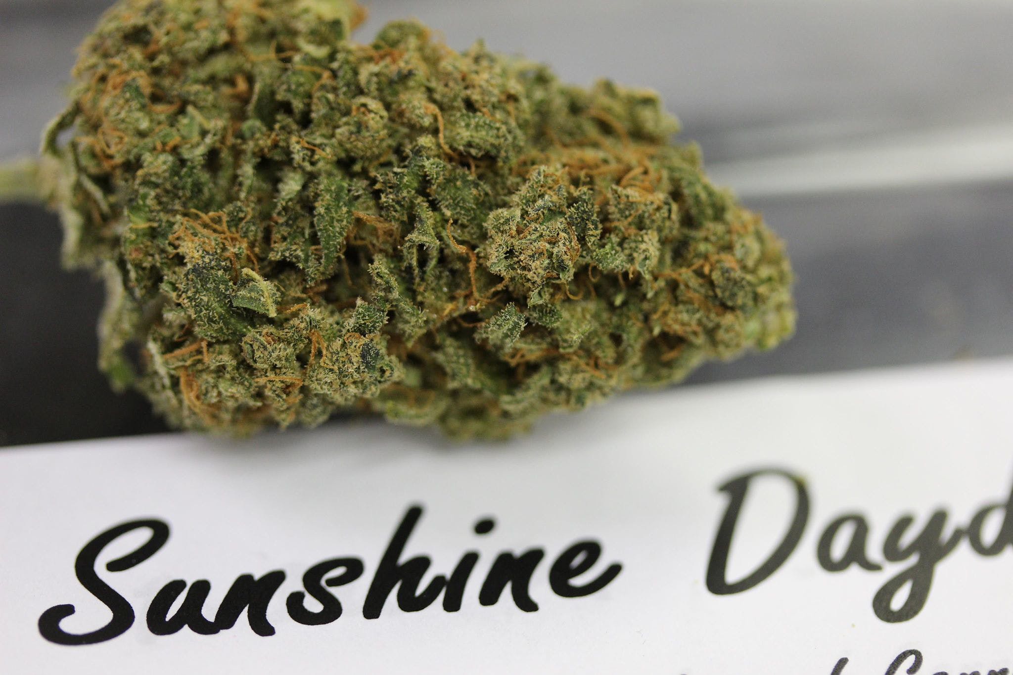 marijuana-dispensaries-815-wooten-rd-colorado-springs-7bartisan-7d-sunshine-daydream