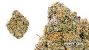 marijuana-dispensaries-8714-vermont-ave-2c-los-angeles-2c-ca-90044-los-angeles-connoisseur-purple-punch