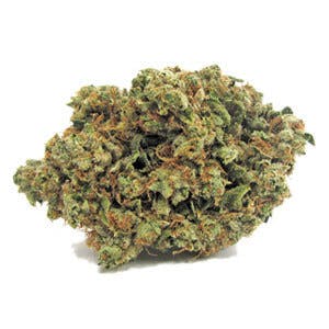 marijuana-dispensaries-1302-north-wilmington-blvd-wilmington-dogo-og-231