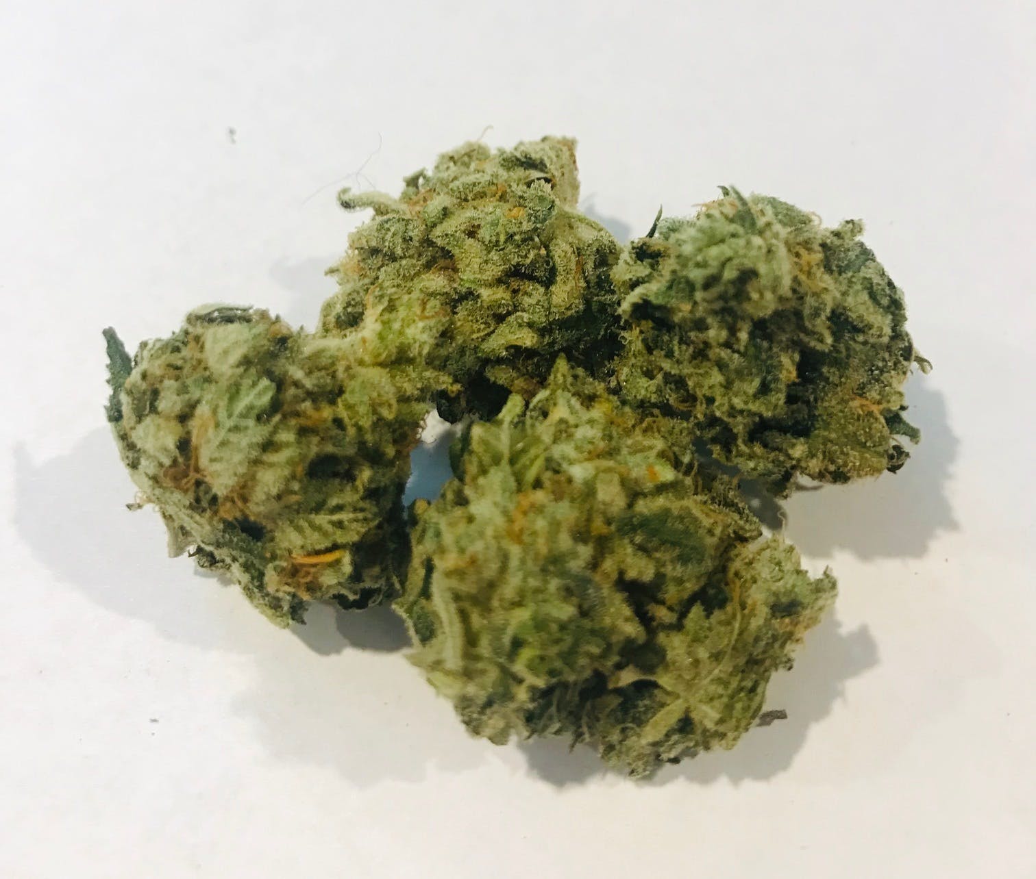 marijuana-dispensaries-2720-san-gabriel-blvd-rosemead-007