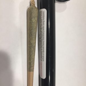 1 Gram Cone Joint