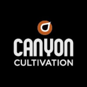 100 mg Canyon Hard Candy - Fruit Punch (1:1)
