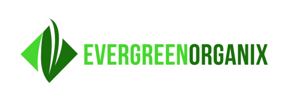 1:1 Mint Dark Chocolate Bar | Evergreen Organix