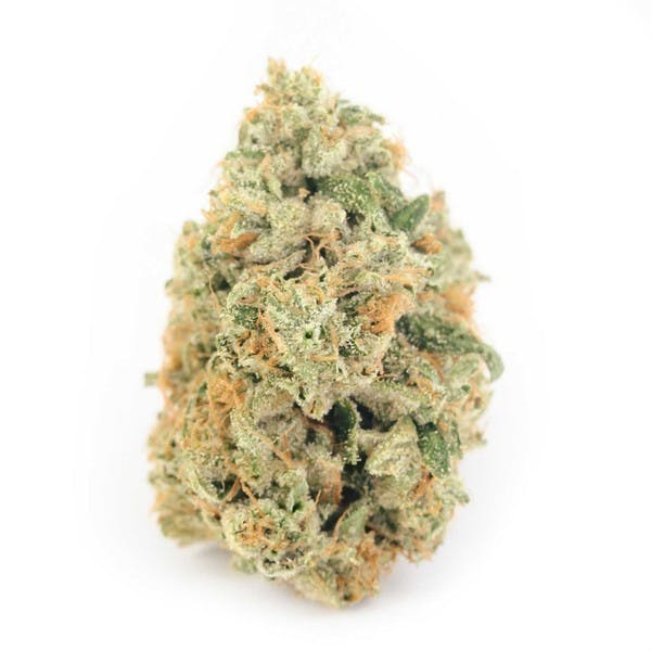 (20% OFF) $190 Oz - Triangle Larry (Burk Brothers)