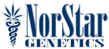 2112 (10pk) by NorStar Genetics