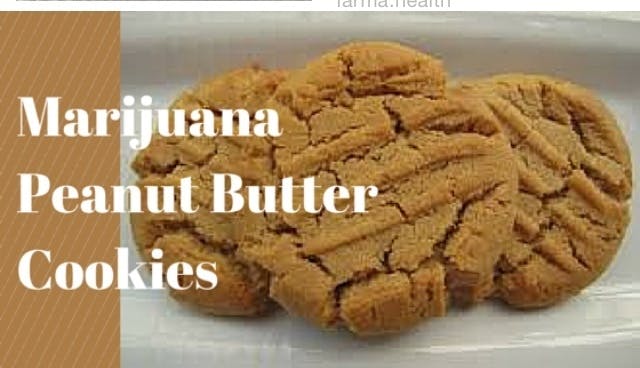 edible-250mg-peanut-butter-cookies-2-count