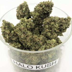 *28 grams of HALO KUSH - $100 Special!!