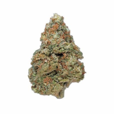 marijuana-dispensaries-569-searls-ave-nevada-city-3-bros-grow-grease-monkey-24-2-25thc