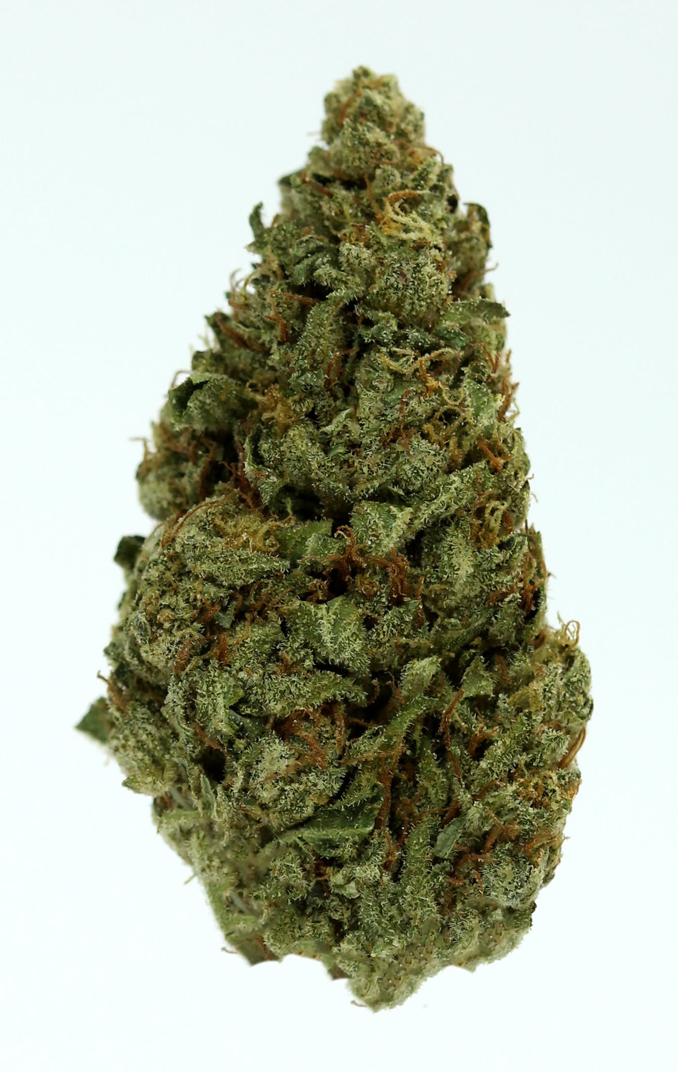 marijuana-dispensaries-752-commercial-st-2320-san-jose-3-bros-grow-silver-surfer-26-07-25thca