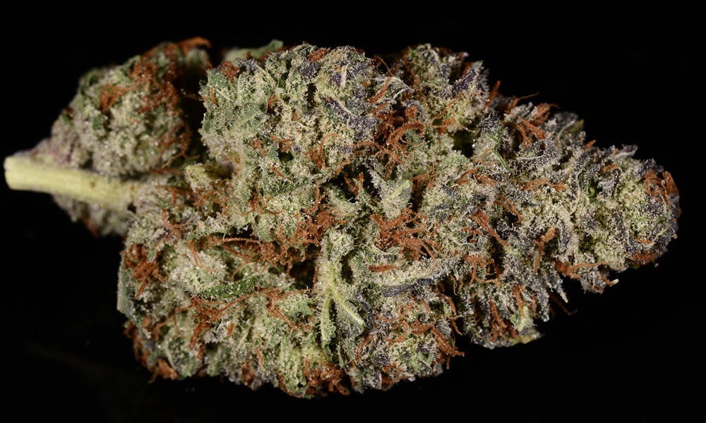 marijuana-dispensaries-2301-7th-street-denver-303-kush