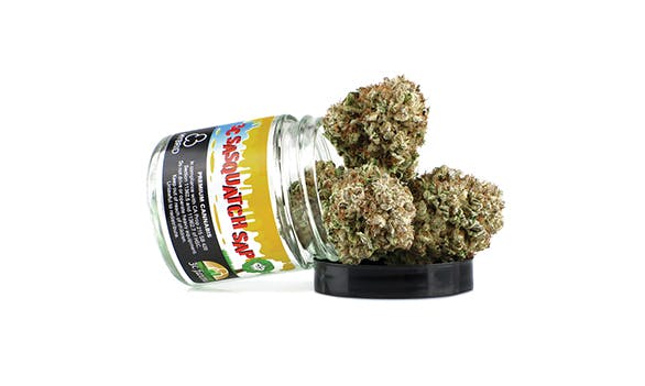 marijuana-dispensaries-new-amsterdam-naturals-in-los-angeles-3c-sasquatch-sap