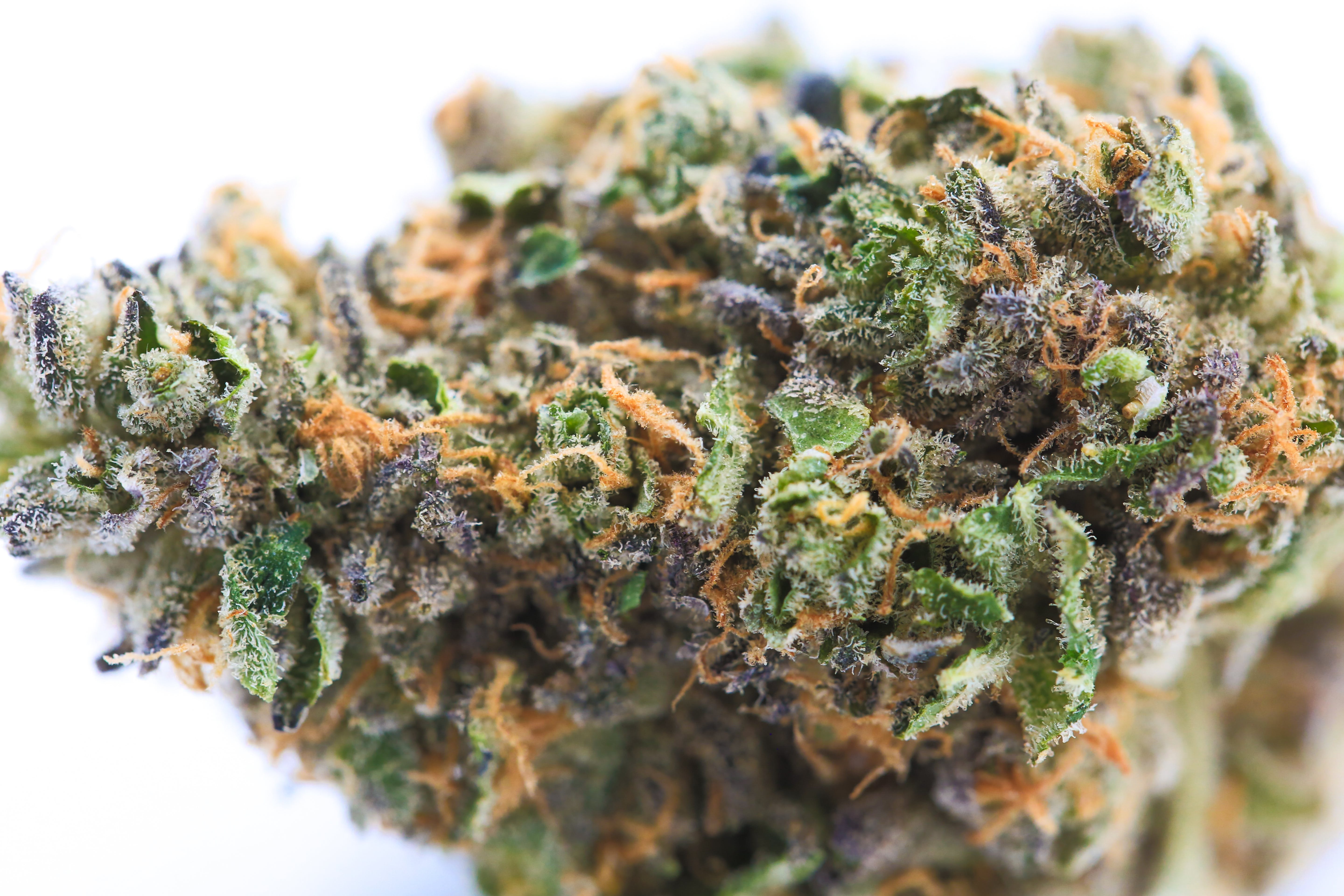 marijuana-dispensaries-green-genie-in-detroit-5-alive