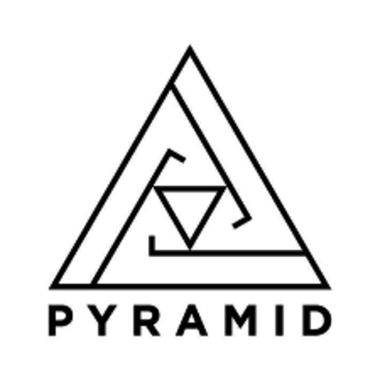 500 mg - Pyramid Pod Cartridges