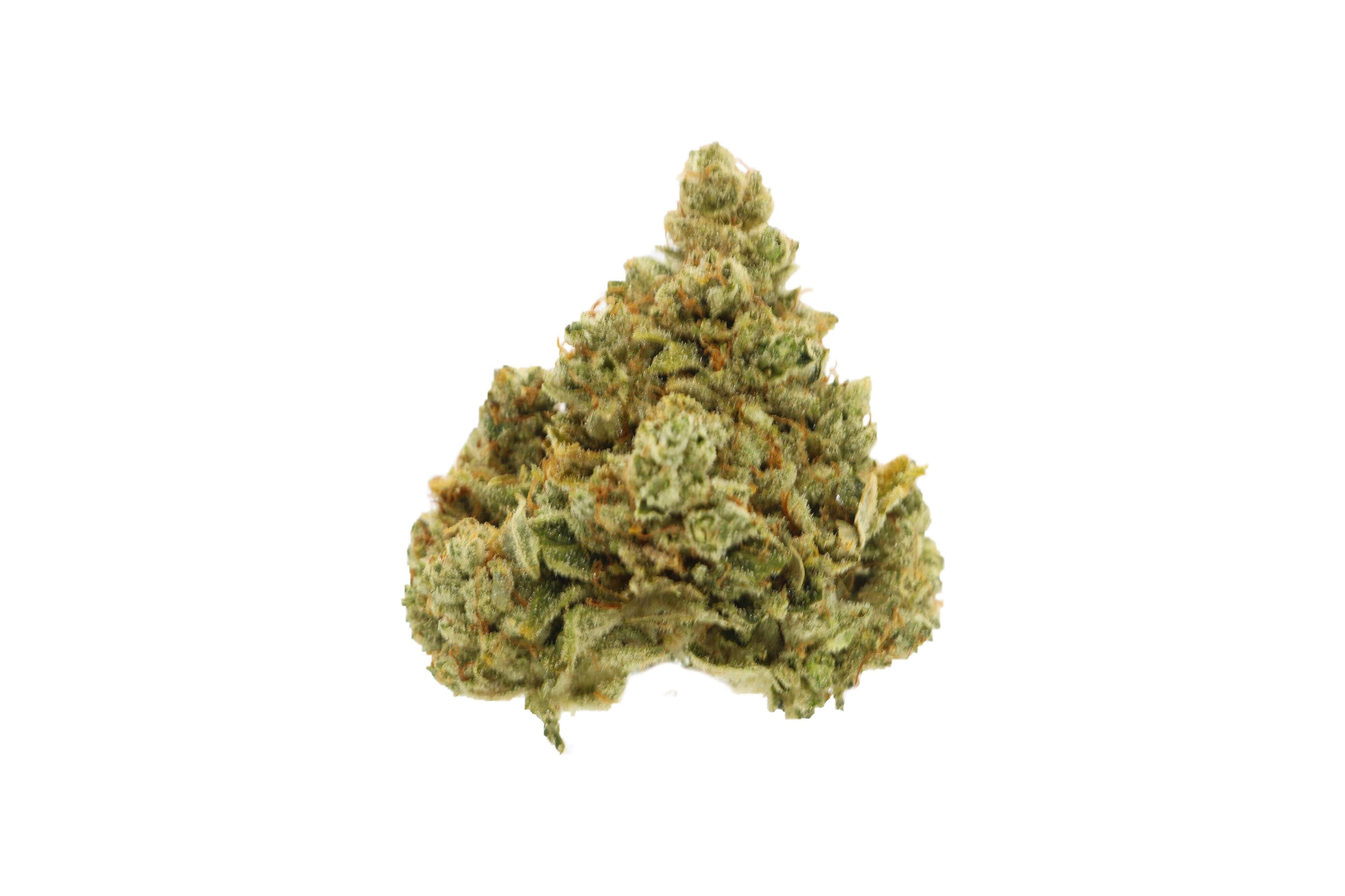 marijuana-dispensaries-7105-e-22nd-st-tucson-501st-og-cold-cured