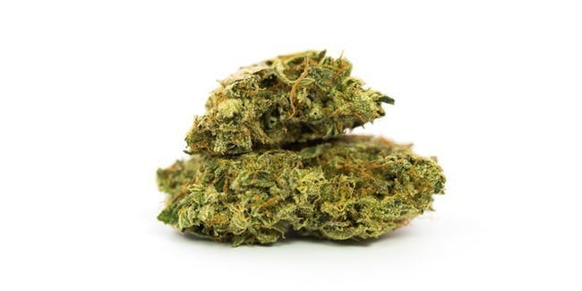 marijuana-dispensaries-7923-duchess-drive-whittier-5g-for-2425-atomic-glue