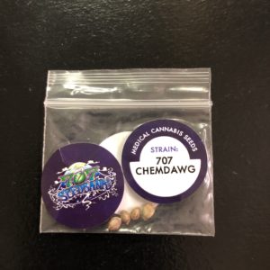 707 Chem Dawg/pack of 10 seeds
