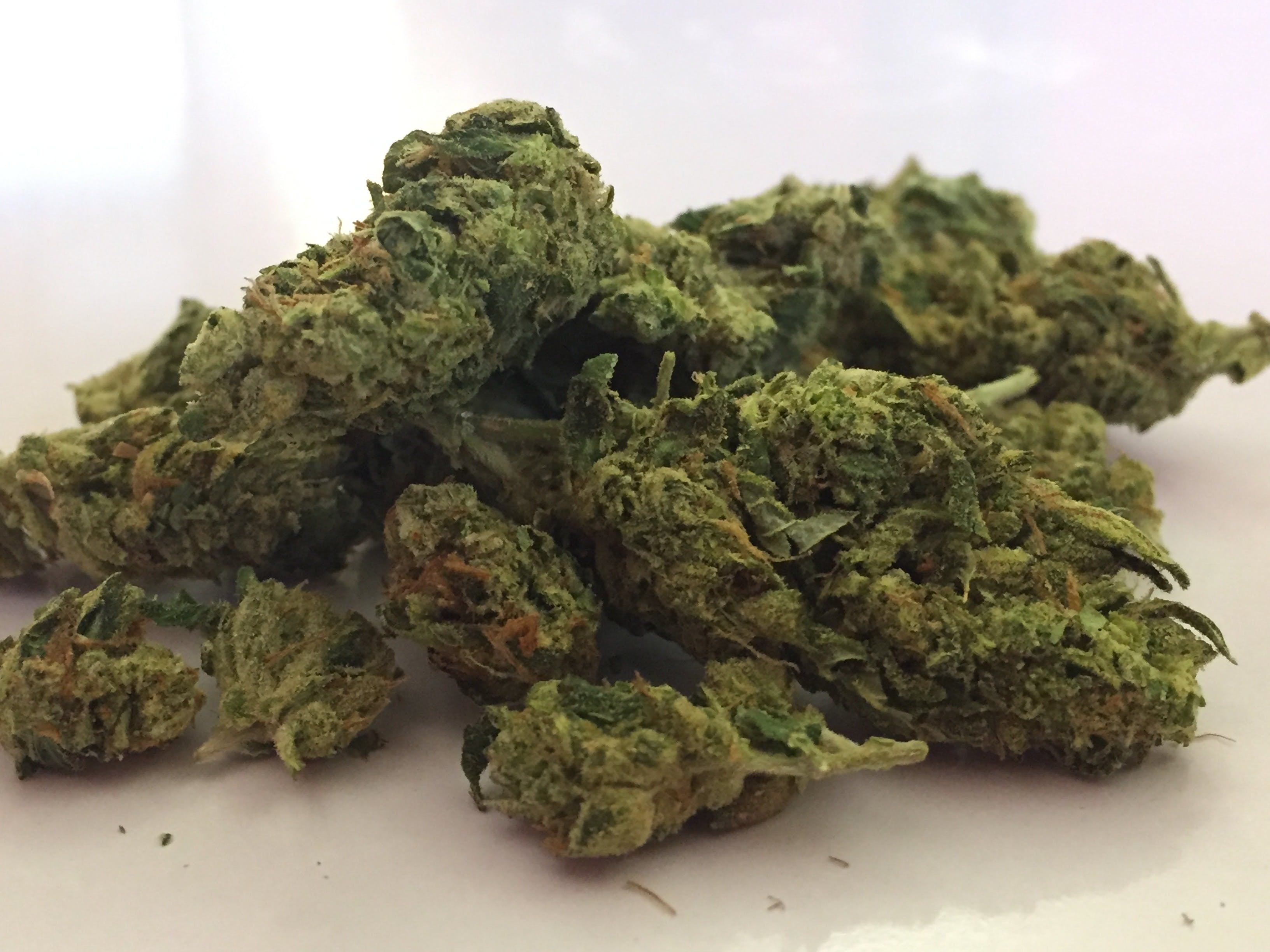 marijuana-dispensaries-1203-california-ave-bakersfield-a1-og
