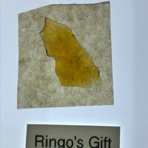 Absolute Terps - Ringo's Gift - Shatter