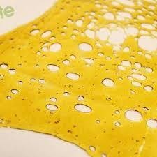 Absolute Terps - Shatter