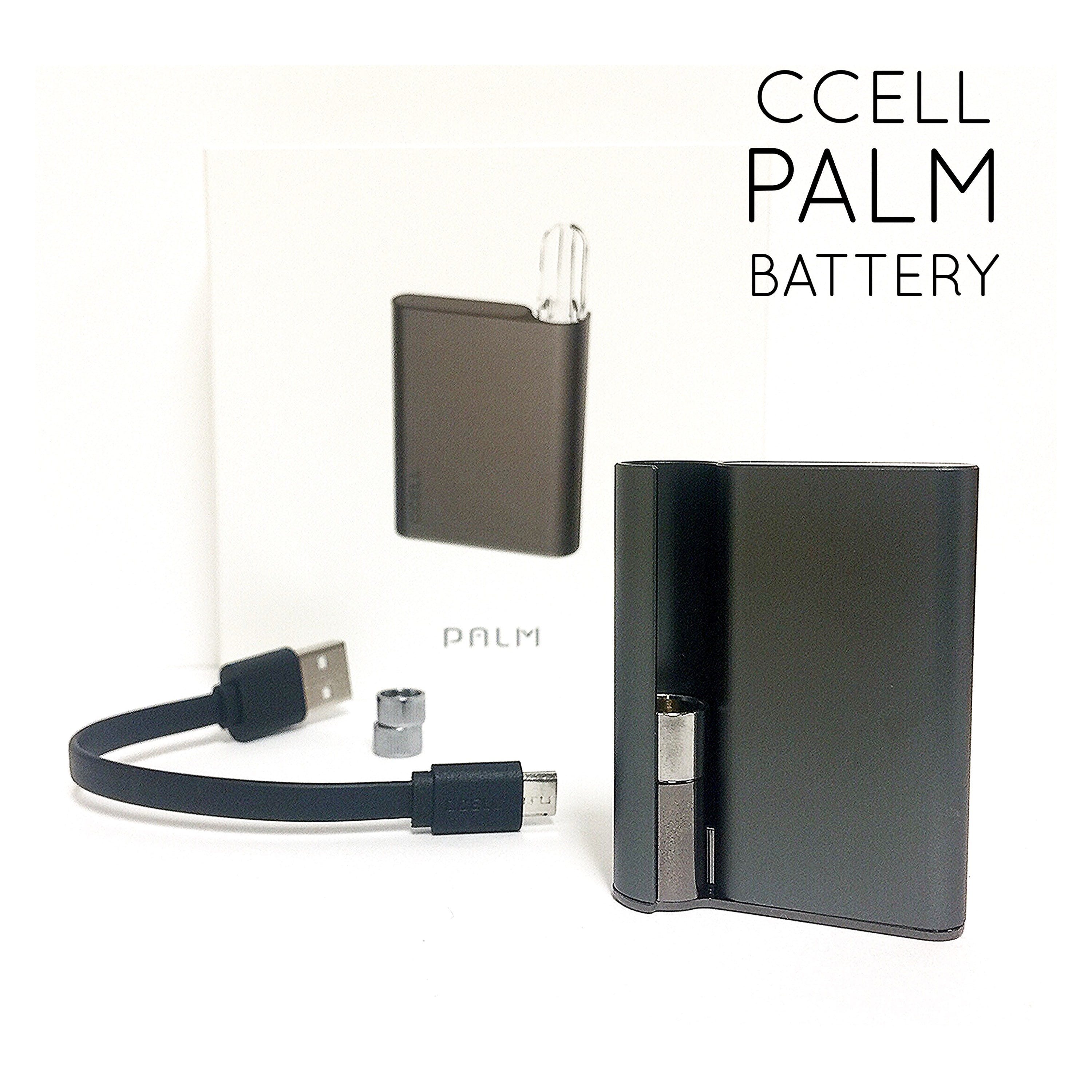 ACC: Palm Battery Kit