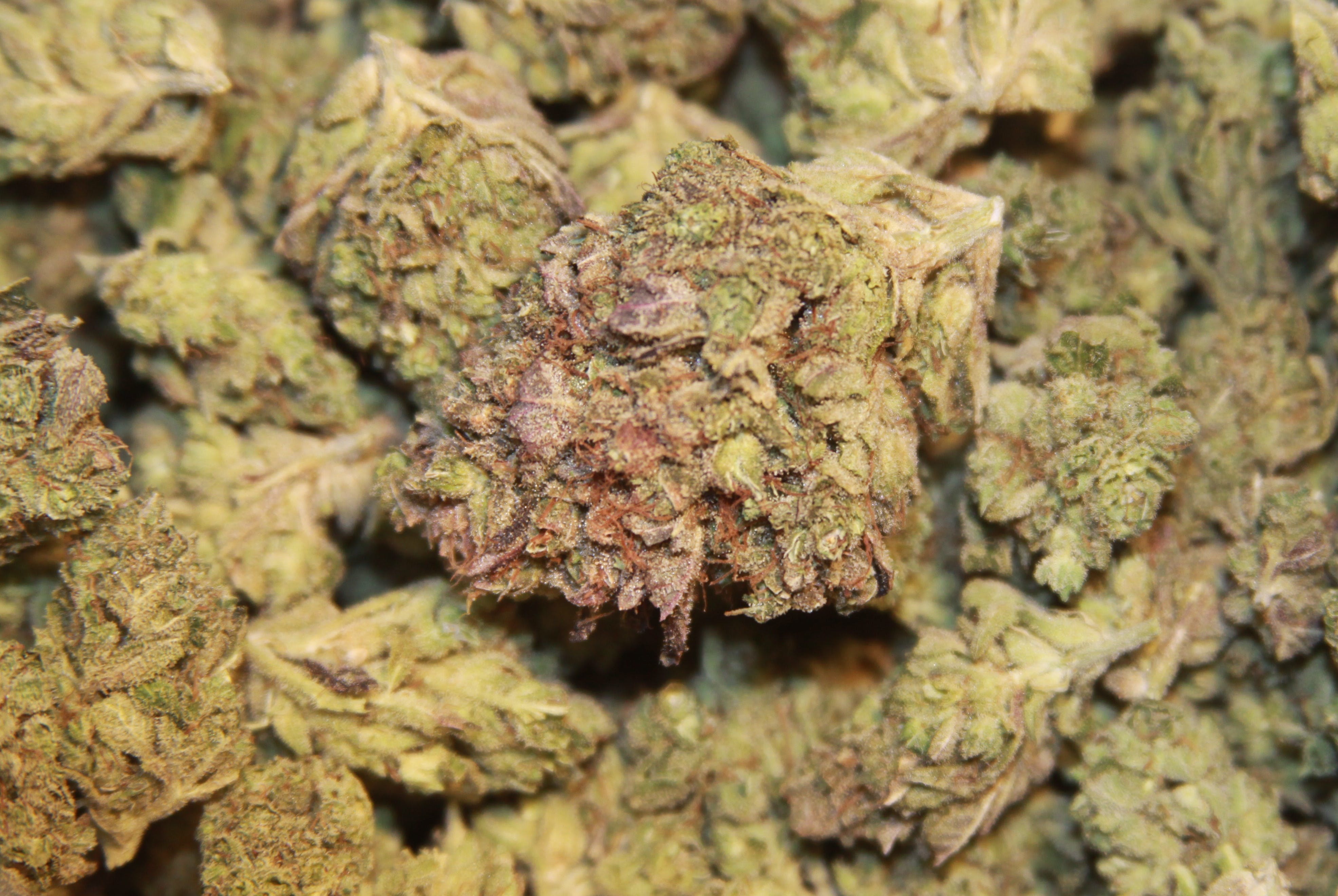 marijuana-dispensaries-green-spirit-rx-in-dorado-ace-high