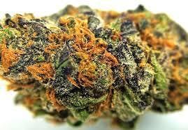 marijuana-dispensaries-11638-victory-blvd-north-hollywood-ace-killer-og-top-shelf