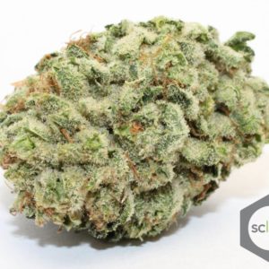 Ace of Spades (5G @ $45)