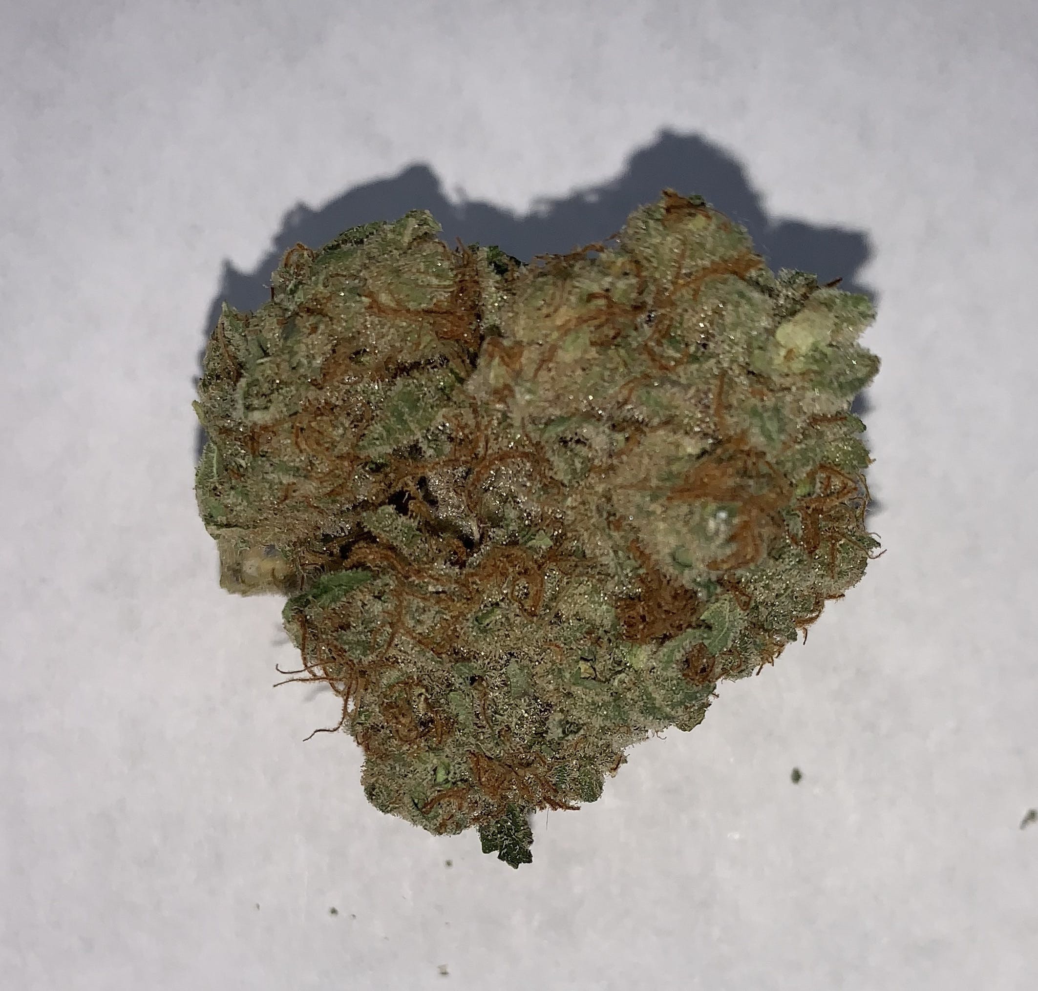 indica-ace-of-spades-platinum-6g-for-2430