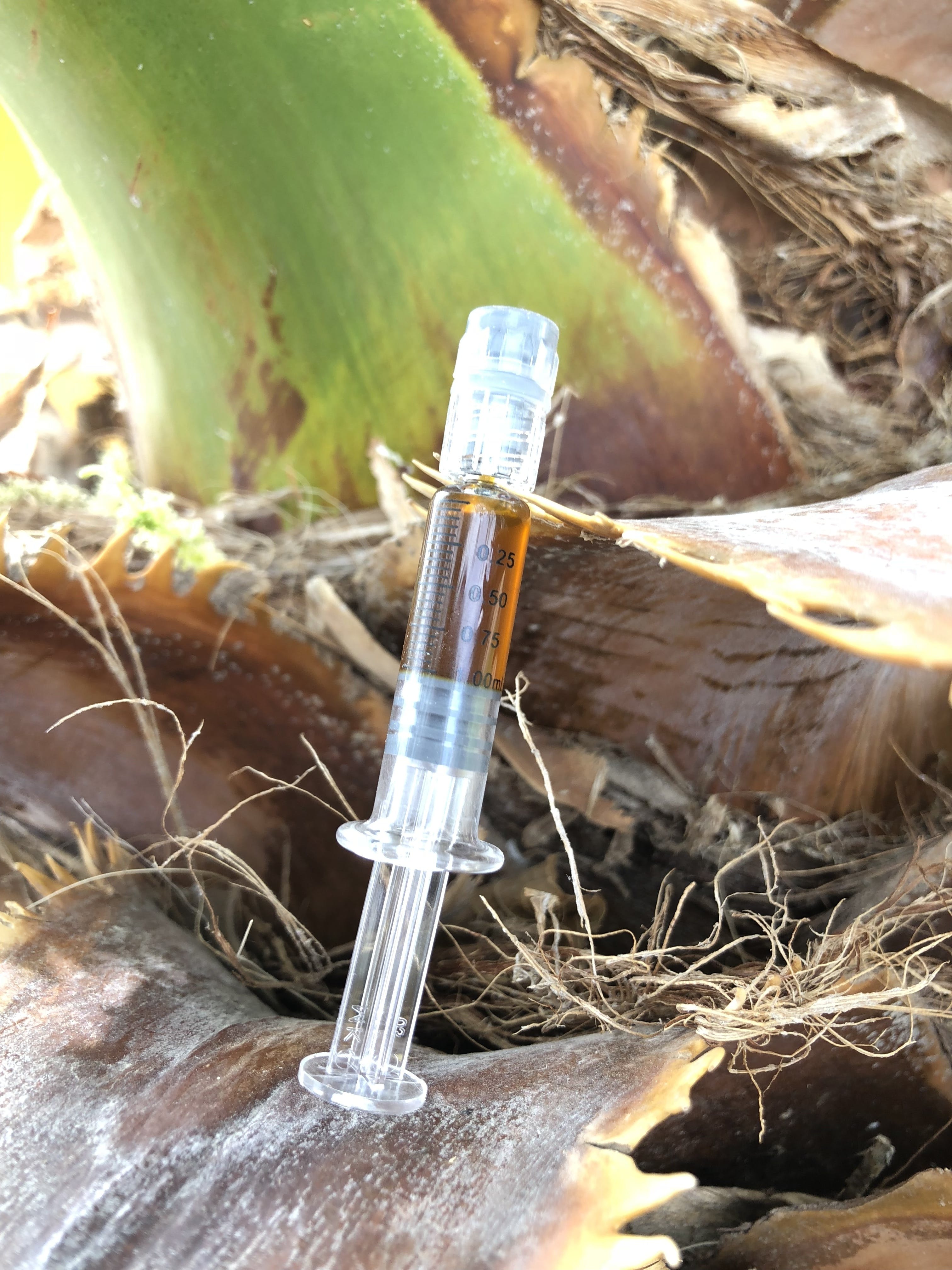 concentrate-activated-oil-syringe-indica