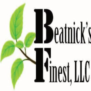 Adult Use - (CBD)[FECO] Beatnick's Finest: 2:1 Medihaze FECO 1ML