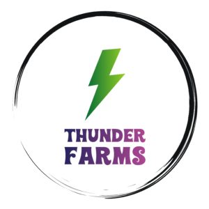 Adult Use - Zurple - Thunder Farms