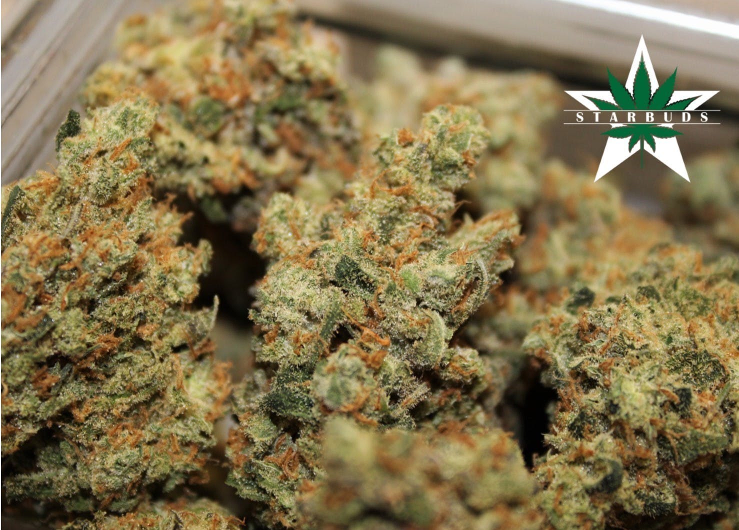 marijuana-dispensaries-5975-belair-rd-baltimore-afghani-haze-premium