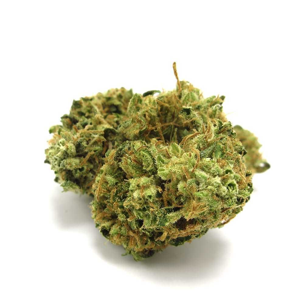 marijuana-dispensaries-green-collar-cannabis-in-tacoma-afgoo