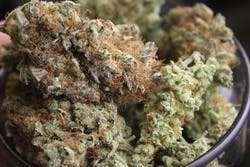 marijuana-dispensaries-3-kings-organics-in-the-dalles-agent-orange