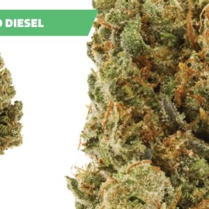 Ajoya - Bio Diesel - 20% THC