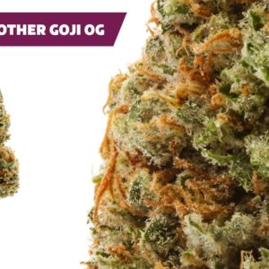 Ajoya - Queen Mother Gogi OG - 17% THC